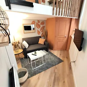  Appartement Le Lanternier - Hypercentre Les Quais - Netflix